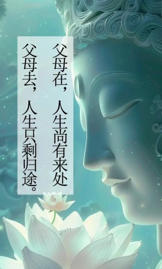 父母在，人生尚有来处；父母去，人生只剩归途