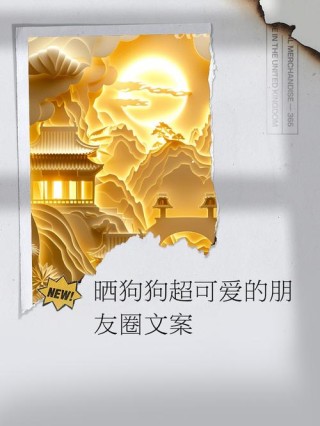 文案|适合晒宠物的朋友圈文案