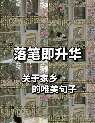 20句写给故乡文案，小孩眺望远方，成人怀念故乡