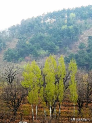 弯弯的小河，青青的山岗，蓝蓝的天空，阵阵的花香，依偎着小村庄