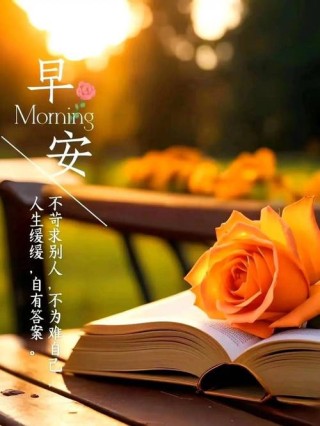 早安正能量坚强语录句子，朝向阳光，不负自己