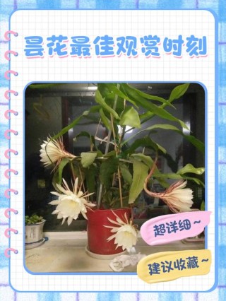 不走寻常路，“村超”不想昙花一现