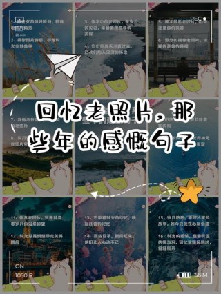 那些年我们用过的非主流经典语录