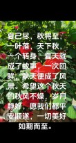 时光匆匆，未觉夏尽，时序已是秋