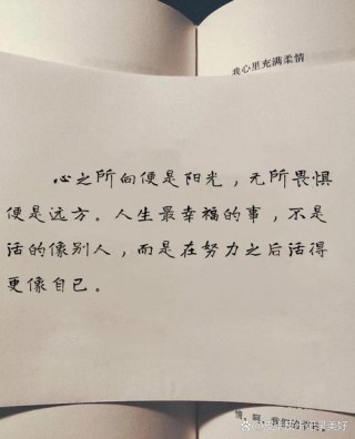 内心充满阳光的励志短句，善良温和，坦荡生活