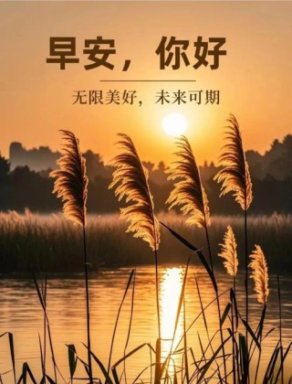 阳光睿智的早安励志语录句子，温馨的早上好问候免打字图片