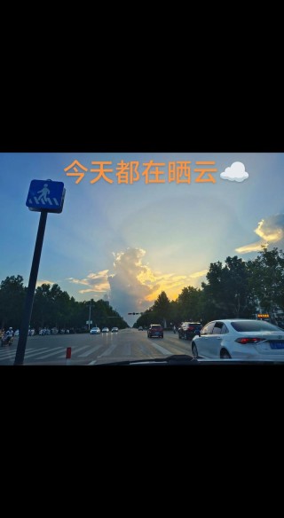 我在花海中穿行，看云舒云卷、静看花开花落