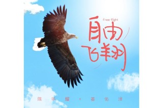 展开梦想的翅膀，海阔天空任你飞翔