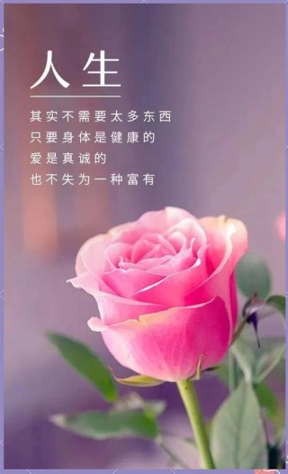 表达人生感悟的精辟句子，人生感悟，精辟句子，洞悉生活真谛