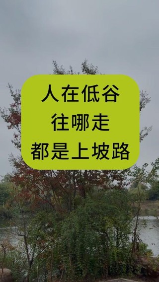 好走的都是下坡路