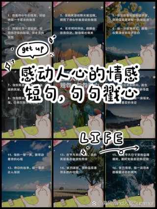 经典感情句子说说心情，句句舒心，哪一句说中你的心情