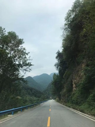 在秦岭组的那段时光