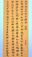 白雪落眉眉醉红颜
