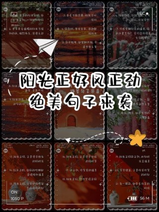 阳光正好的唯美句子70条经典语录大全