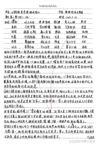 每日一本好书|《钢铁是怎样炼成的》读书笔记经典语录分享