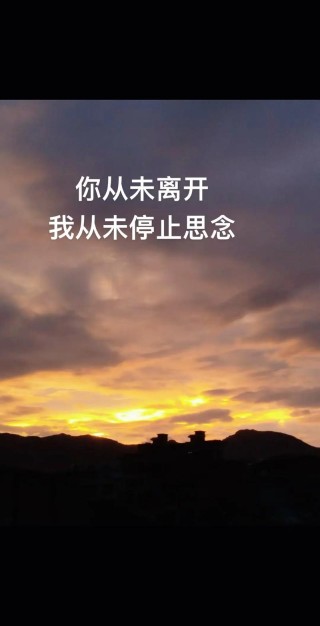 只能默默看着你离去？
