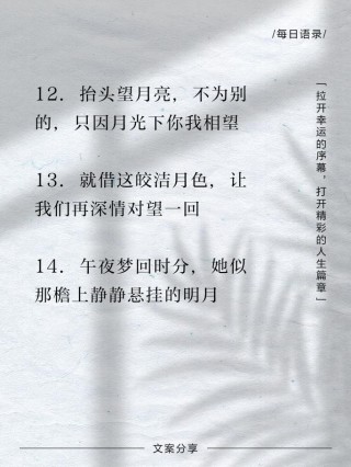 文案｜治愈系文案：“抬头仰望，别浪费了月亮”