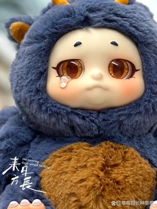 布娃娃的忧伤