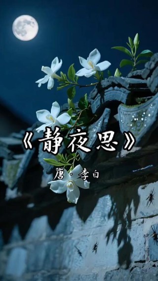 静夜思 | 你的心态，决定你的状态