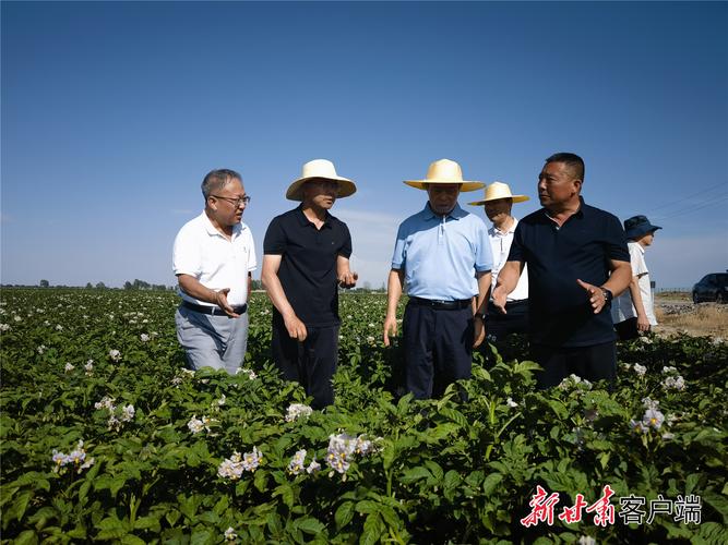 宁夏隆德李积良：带村民种植中药材致富  第1张