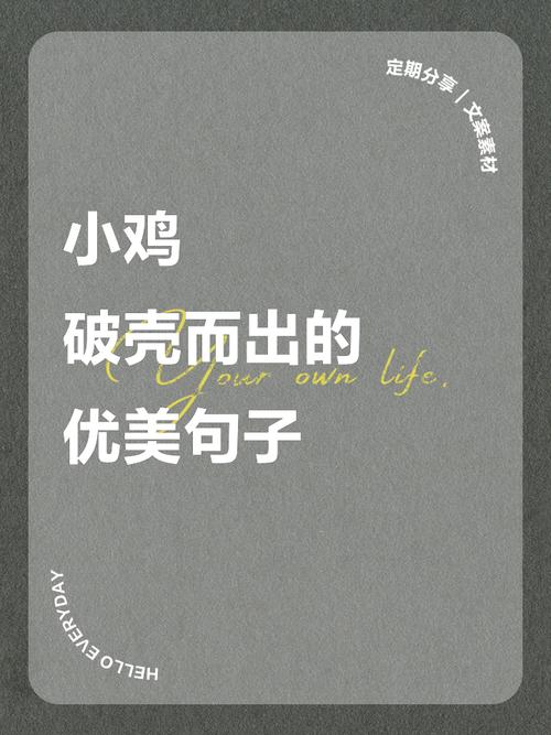 各种鸡你太美短句(赞美鸡的句子或段落) 第1张 各种鸡你太美短句(赞美鸡的句子或段落) 第1张