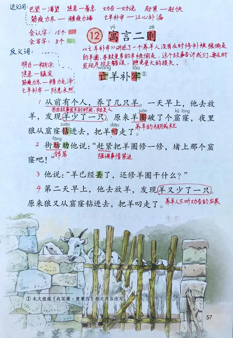 冉隆弟靠养羊脱贫,希望儿子也帮把手 第1张 冉隆弟靠养羊脱贫,希望儿子也帮把手 第1张