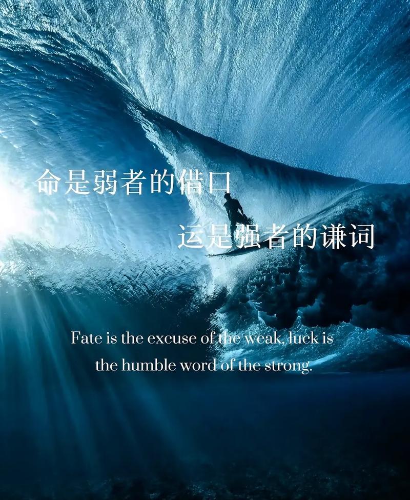 命是弱者的借口,运是强者的谦辞 第1张 命是弱者的借口,运是强者的谦辞 第1张