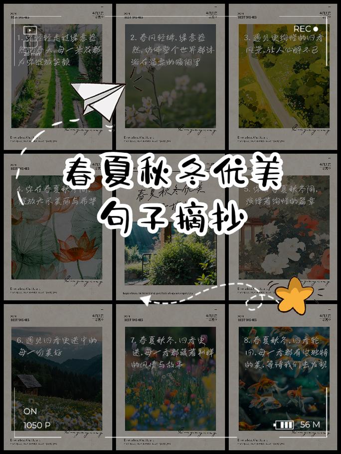 四季更替的优美句子(描写四季变化的好句) 第1张 四季更替的优美句子(描写四季变化的好句) 第1张