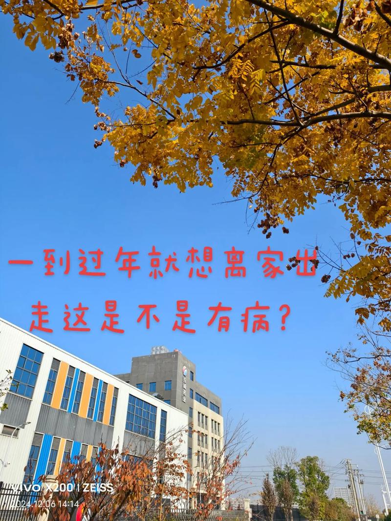 这个春节，只想一个人待着  第1张