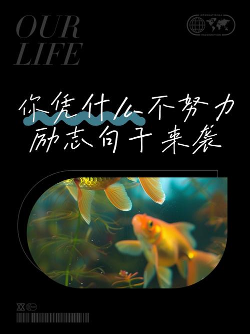 不努力,你什么都不是 第1张 不努力,你什么都不是 第1张