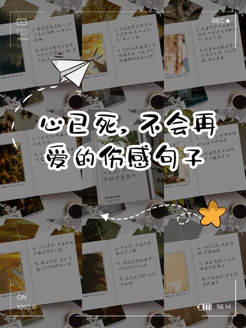 失去的爱情简短句子(失去的爱情句子) 第1张 失去的爱情简短句子(失去的爱情句子) 第1张