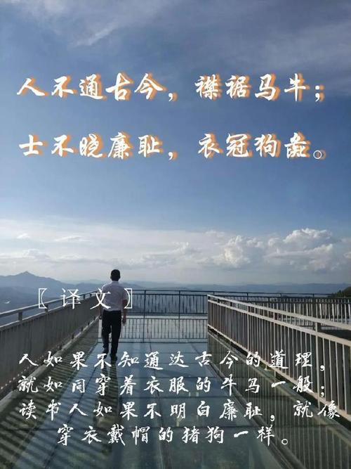 不敢问来人的名言（不敢问来人的上一句诗是什么）  第1张