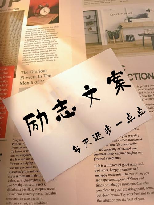 每天进步一点点,你终将会成功 第1张 每天进步一点点,你终将会成功 第1张