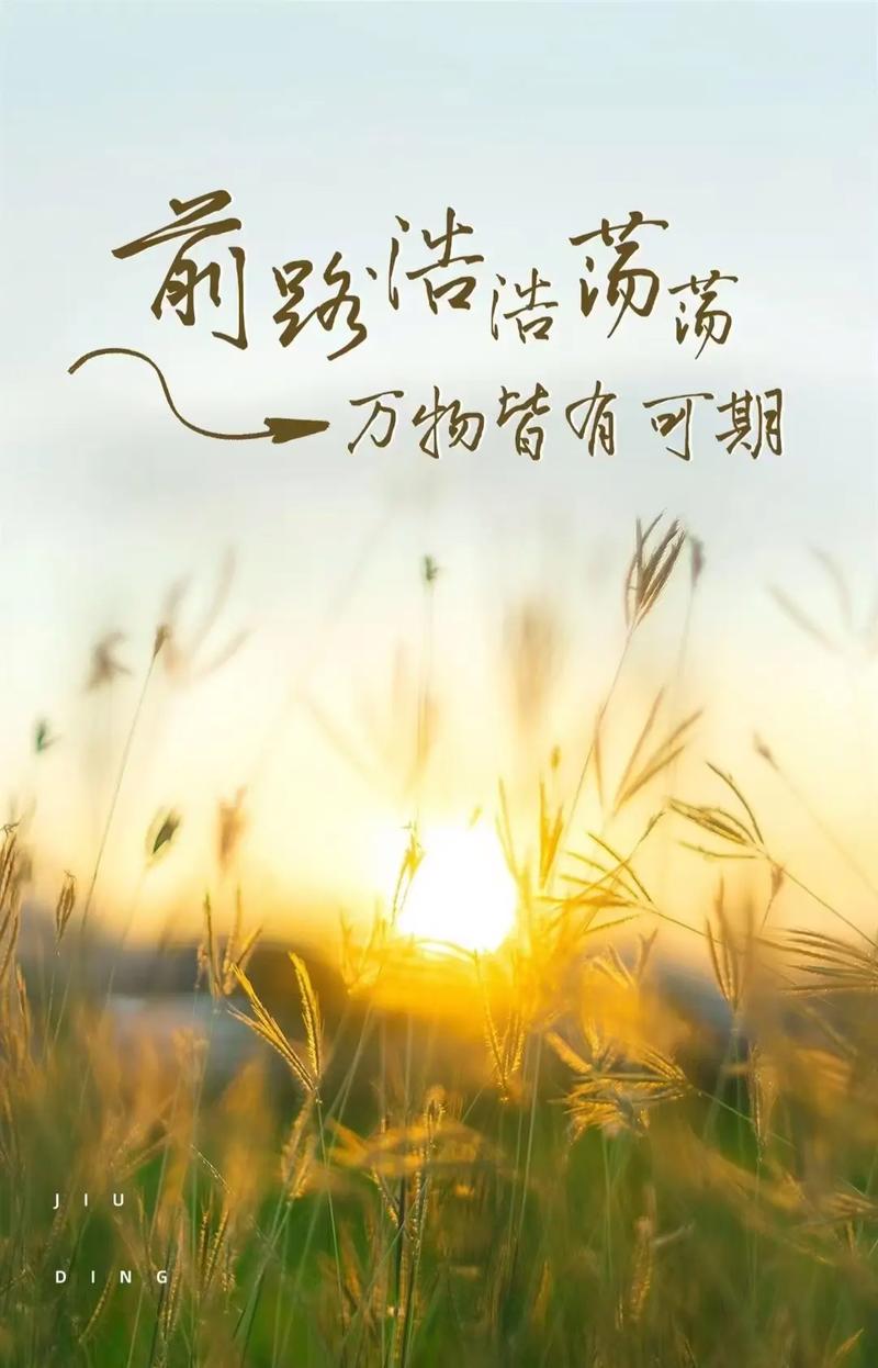 每天坚持这三件事，你的运气会越来越好  第1张