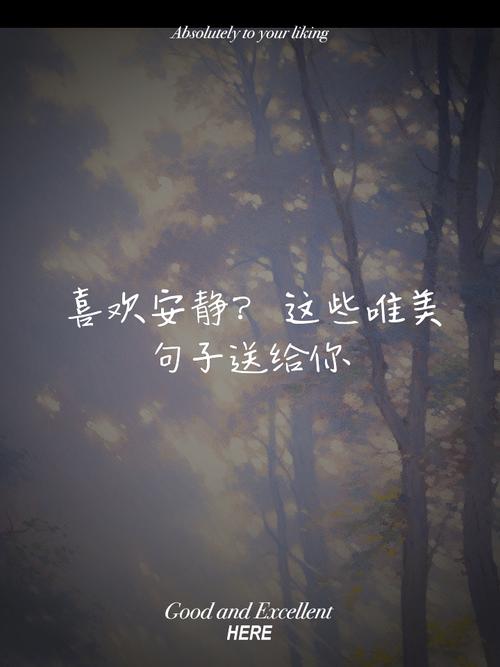 安静下来的唯美句子（安静的短句唯美）  第1张