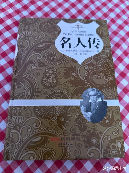 励志人物：贝多芬，自我激励的奇迹  第1张
