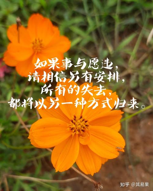 干净文案治愈短句(干净治愈文案短句) 第1张 干净文案治愈短句(干净治愈文案短句) 第1张