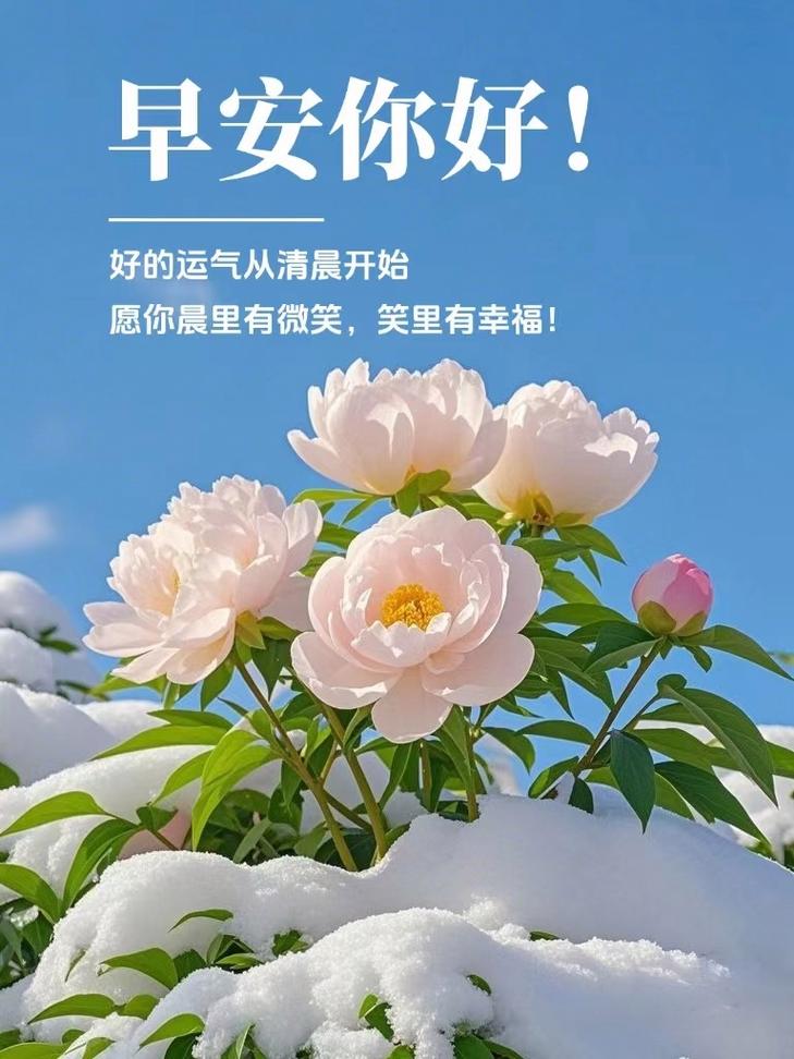 干净暖心祝福语(特别甜,暖心的句子) 第1张 干净暖心祝福语(特别甜,暖心的句子) 第1张