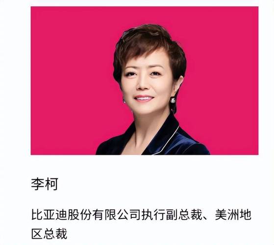 励志人物:王传福的第一桶金 第1张 励志人物:王传福的第一桶金 第1张