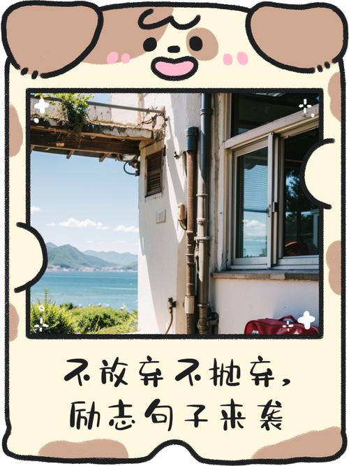 咬咬牙坚持吧！别动不动就选择放弃  第1张