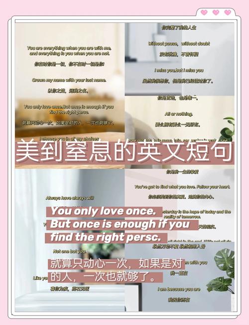 形容鼻子优美的短句（形容鼻子英语句子）  第1张
