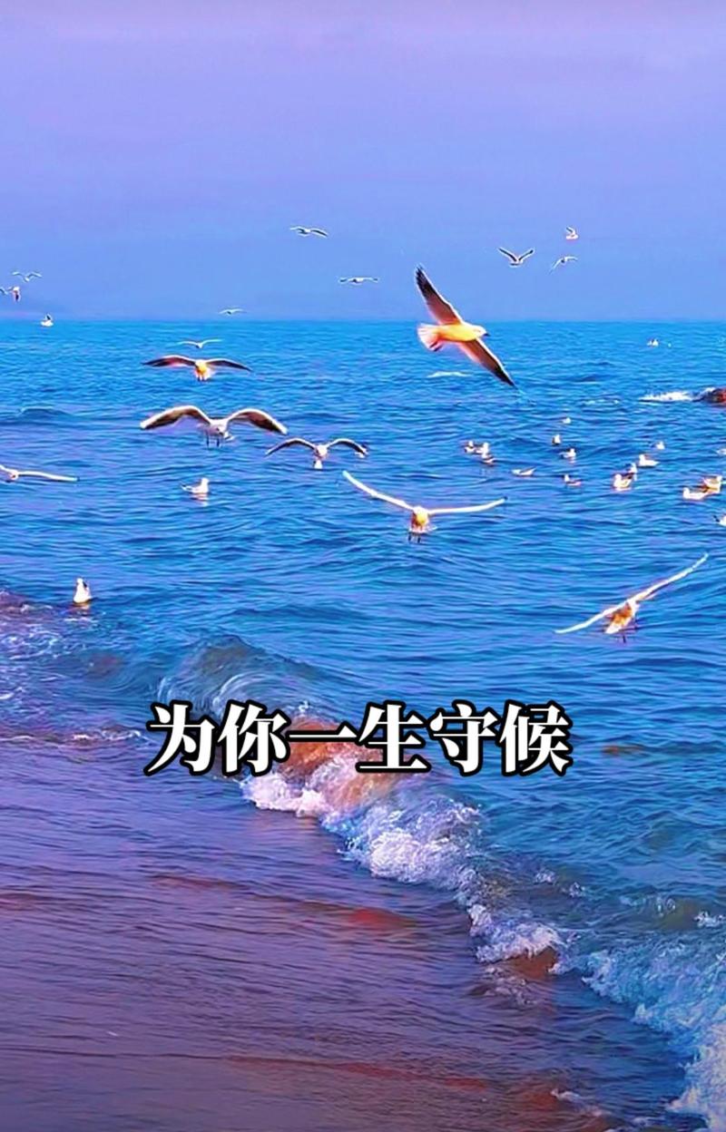 一生去为你守候短句（一生去为你守候短句文案）  第1张