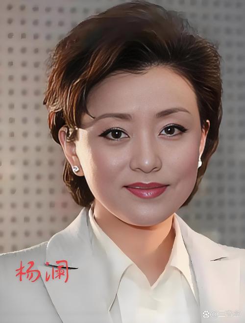 杨澜:我所经历的艰辛和失败 第1张 杨澜:我所经历的艰辛和失败 第1张