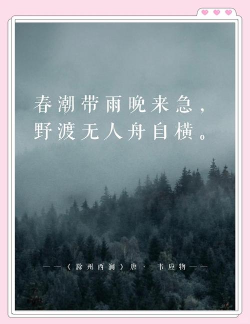 江南春：反思快的代价，逼自己慢下来  第1张