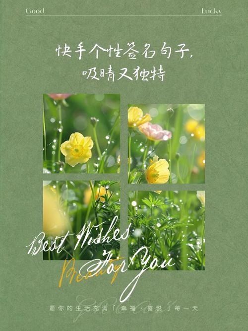 快手经典网红语录（快手网红句子）  第1张