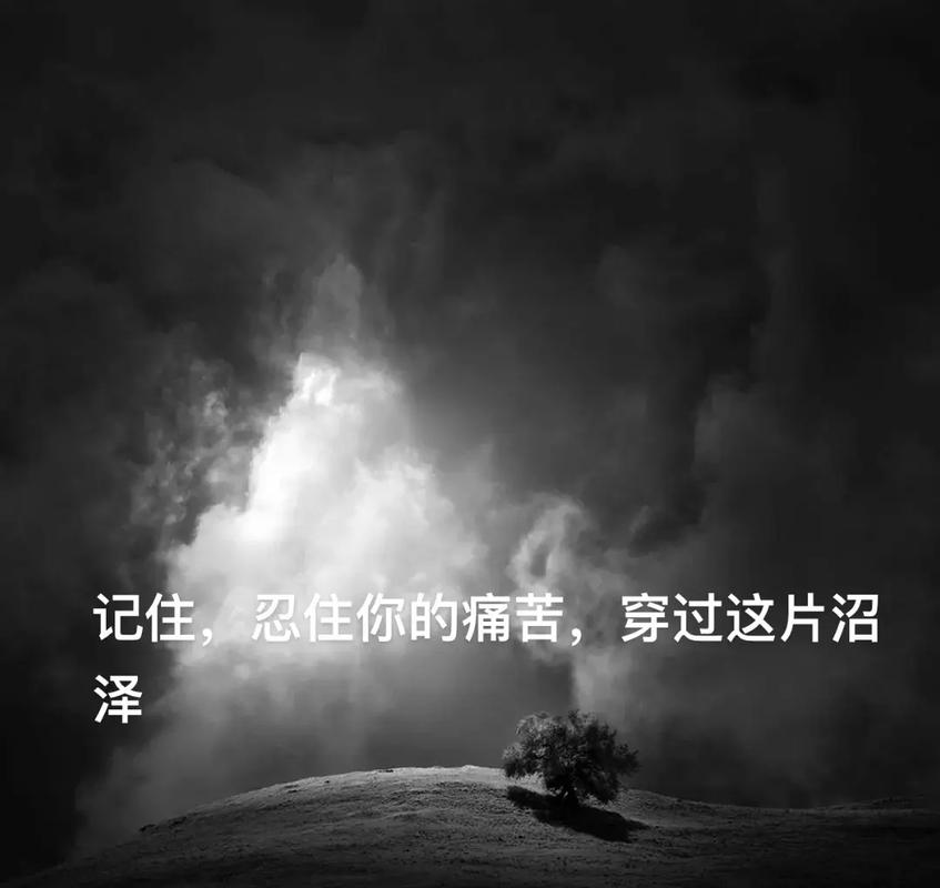 忍住你的痛苦,一言不发的去努力、完成 第1张 忍住你的痛苦,一言不发的去努力、完成 第1张
