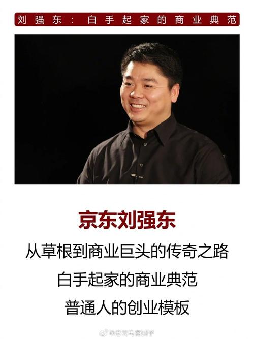 2011经济年度人物：刘强东  第1张