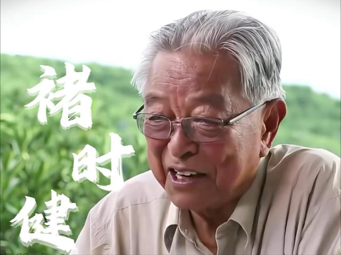 褚时健的逆袭 第1张 褚时健的逆袭 第1张