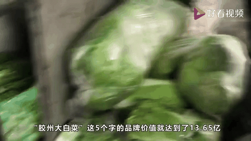杨佳:不能被一棵大白菜绊倒 第1张 杨佳:不能被一棵大白菜绊倒 第1张