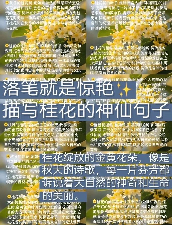 描写桂花外形的短句子(描写桂花外形的优美段落有哪些) 第1张 描写桂花外形的短句子(描写桂花外形的优美段落有哪些) 第1张